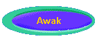Awak
